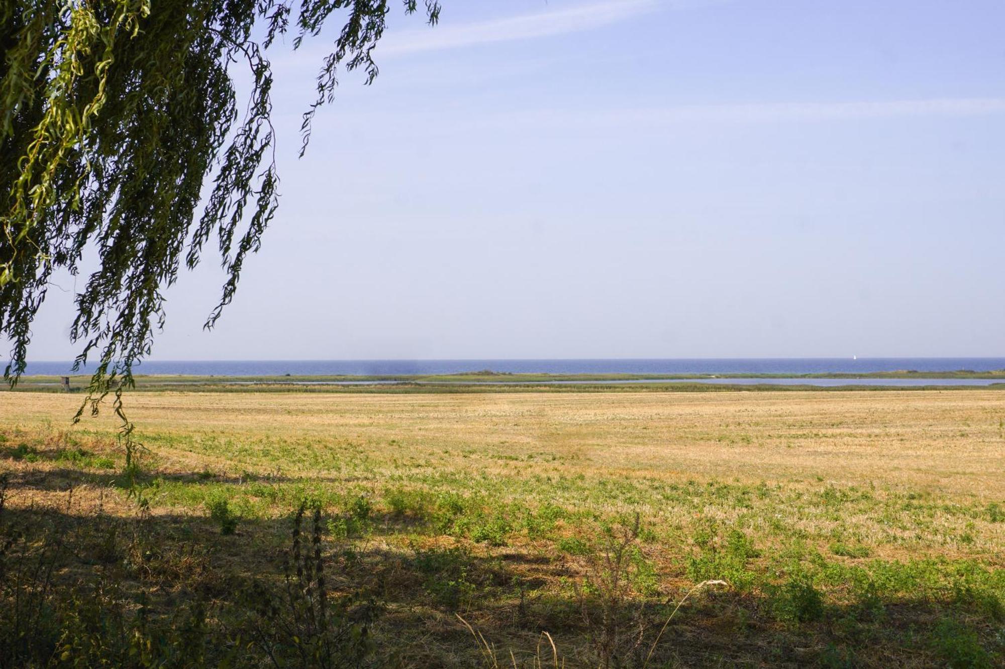 Duenenmeer Ferienwohnung Ostseebad Kühlungsborn Exterior foto